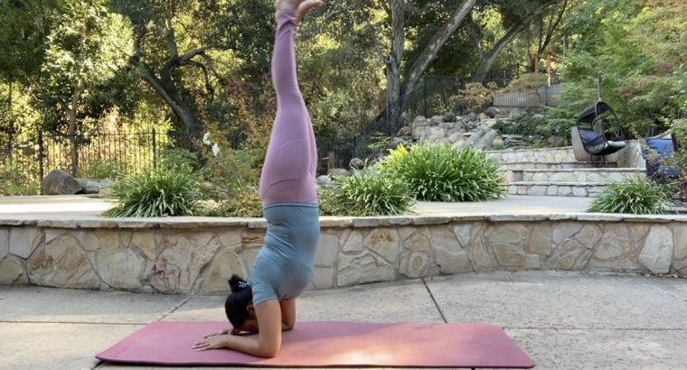 Most important facts about Pincha Mayurasana with 8 Tips and Tricks